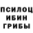 Псилоцибиновые грибы Psilocybine cubensis Nellisy Crass