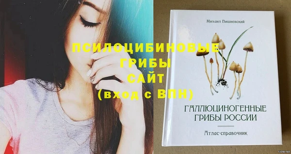 меф Богородицк