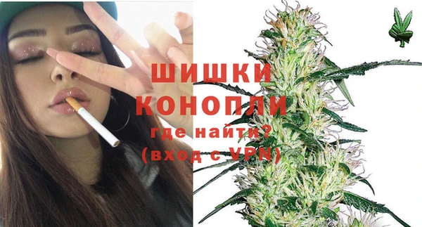индика Бородино