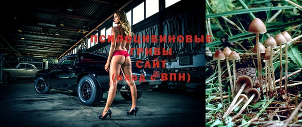 меф Богородицк