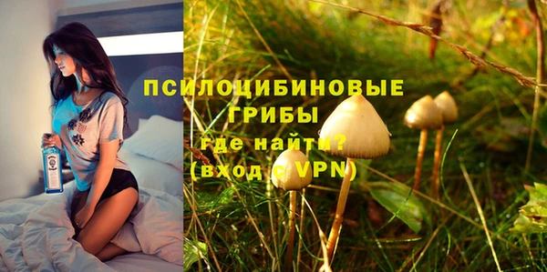 a pvp Богданович