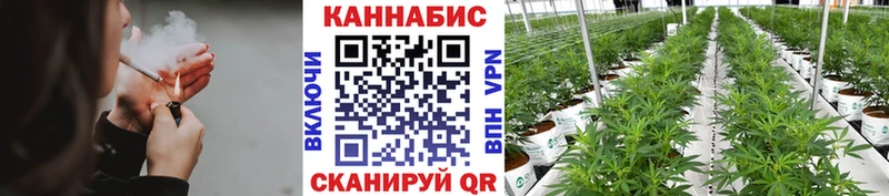 Купить  Мурино  Бошки марихуана MAZAR 